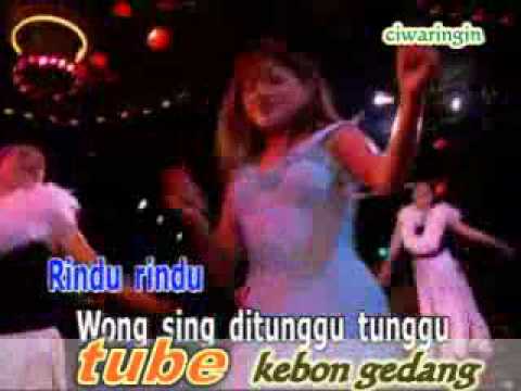 manuk kepudang iwi s