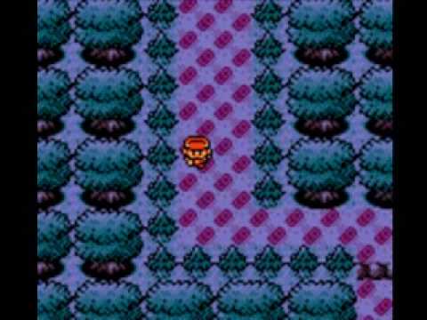 Pokemon Pikachu Edition Part 7: Ilex Forest