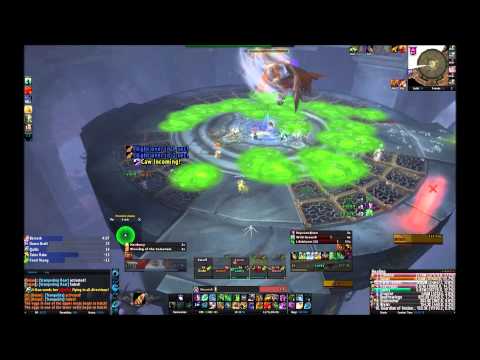 Skill Banner VS Heroic Ji'kun, Resto Druid POV