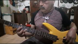 Download lagu 'Boom Boom' ,Nazia Hassan , Bass cover mp3