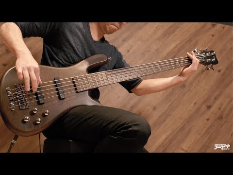 5-струнная бас-гитара WARWICK Teambuilt Pro Series Streamer LX, 5-String (Nirvana Black Transparent Satin) - фото 2 - id-p2710610207