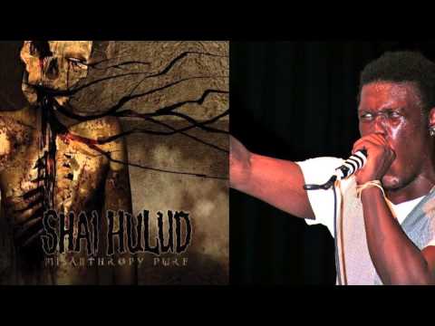 André Arrington - Chorus of the Dissimilar (Shai Hulud Audition Cover)