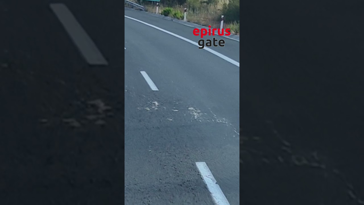 Εγνατία Οδός: Πουλερικά σκορπισμένα σε δεκάδες χιλιόμετρα