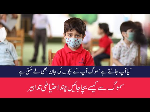 Do You Know How Dangerous Smog Is for You? Smog Risks and Precautions