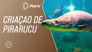 Miniatura do vídeo