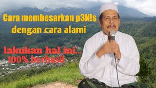 Download lagu cara ampuh untuk membesarkan p3nis..... KH ABDUL GHOFUR mp3 Download lagu cara ampuh untuk membesarkan p3nis..... KH ABDUL GHOFUR mp3
