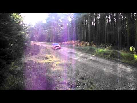 Ford Escort MK1 & MK2 Forest Rally Clips UK