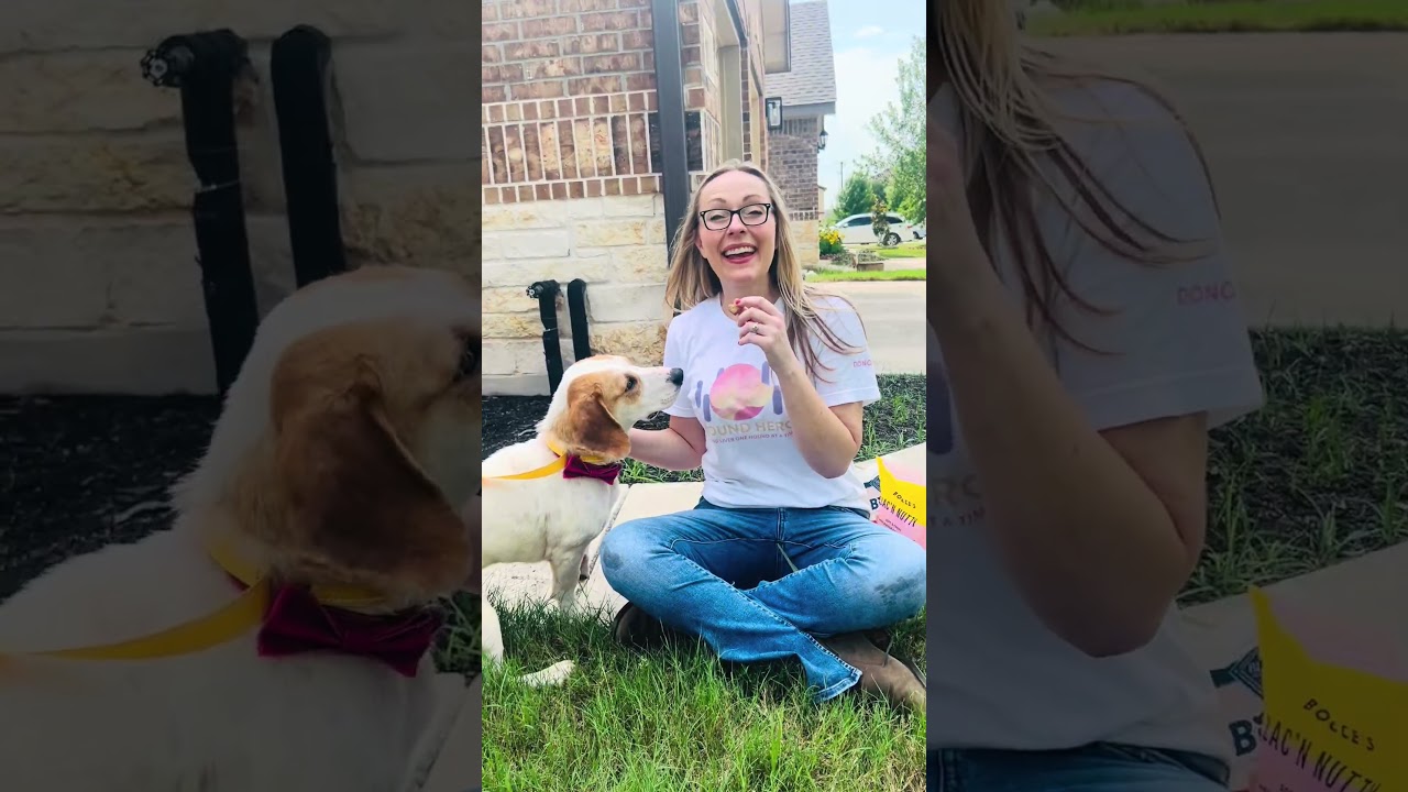 Aviva, a Adoptable Basset Hound in Austin, TX video 6/6