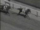 1953 Kentucky Derby (Dark Star upsets Native Dancer)