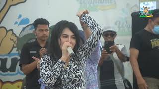 Download lagu Kopi dangdut -Diana dee (goyang tampol) mp3 Download lagu Kopi dangdut -Diana dee (goyang tampol) mp3