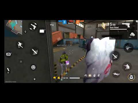 FREE HIGHLIGHTS head shots😋😋