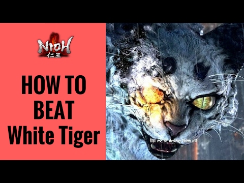 Nioh - White Tiger Boss Fight Walkthrough | How To Beat