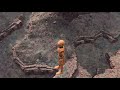 Kratos Falling Meme BUT Its BeamNG