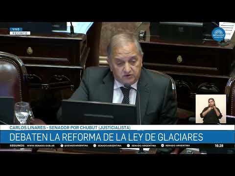SENADOR CARLOS LINARES 2 - SESIÓN PÚBLICA ESPECIAL 26-02-26