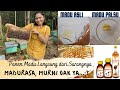 Madurasa Pure Honey Or Not A Peek At The Honey Harvest From The Forest To The Factory Dr Ema