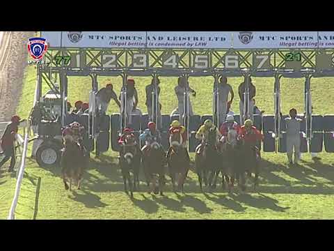 The Mauritius Derby Trial Cup | Dead-heat: Padre Pio | A.Roy & Ehsaan | Y.Emamdee