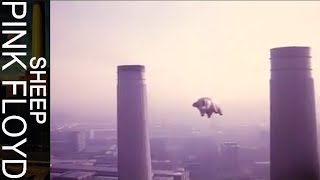 Pink Floyd - Sheep