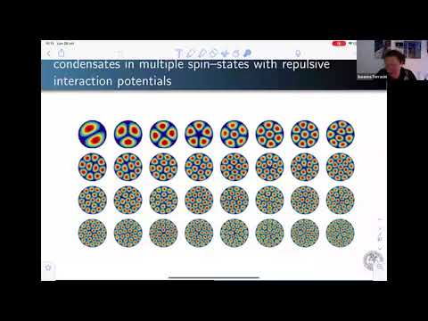 SN Partial Differential Equations and Applications Webinars - Susanna Terracini