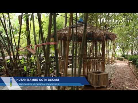 Hutan Bambu kota Bekasi, Margahayu,Kecamatan Bekasi Timur Hutan Bambu kota Bekasi, Margahayu,Kecamatan Bekasi Timur