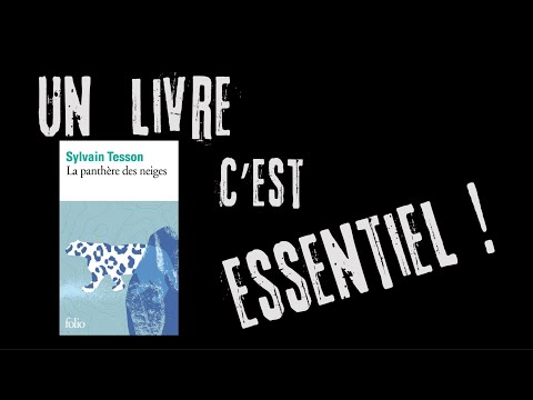 "La panthère des neiges" de Sylvain Tesson présenté par Inès