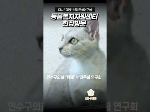 서울시 동물복지지원센터 현장방문