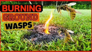 Burning Ground Bees / Eliminate / Success! Easy How to ...