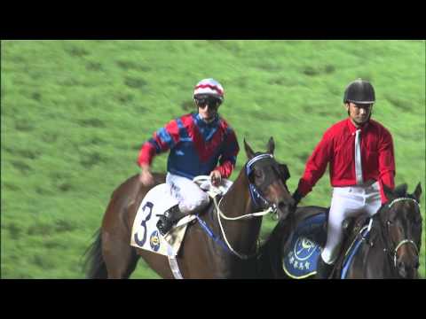 Dubai World Cup feature