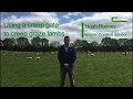 Using A Creep Gate To Creep Graze Lambs