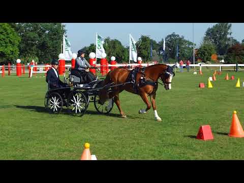 Fahrturnier Ostenfelde 14.8.2021