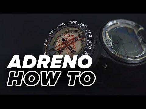 How to Choose Your Scuba Diving Computer