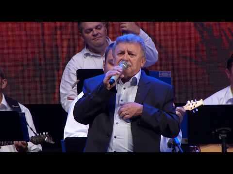 Zlatne žice Slavonije 2018 - STJEPAN JAPARIĆ – Da je meni Slavonijo moja