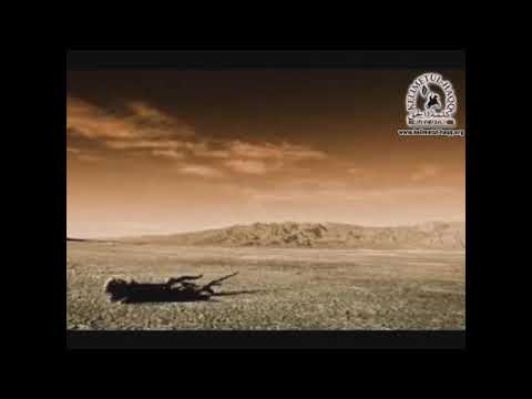 Među Arapima je ipak bilo rijetkih monoteista