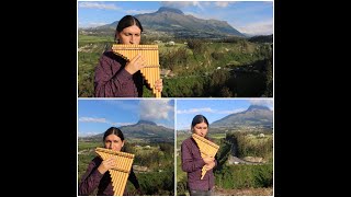 MUSIC OF THE ANDES