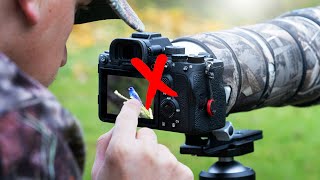 What's RUINING Your Bird Photography? Part 4 | Common Mistakes