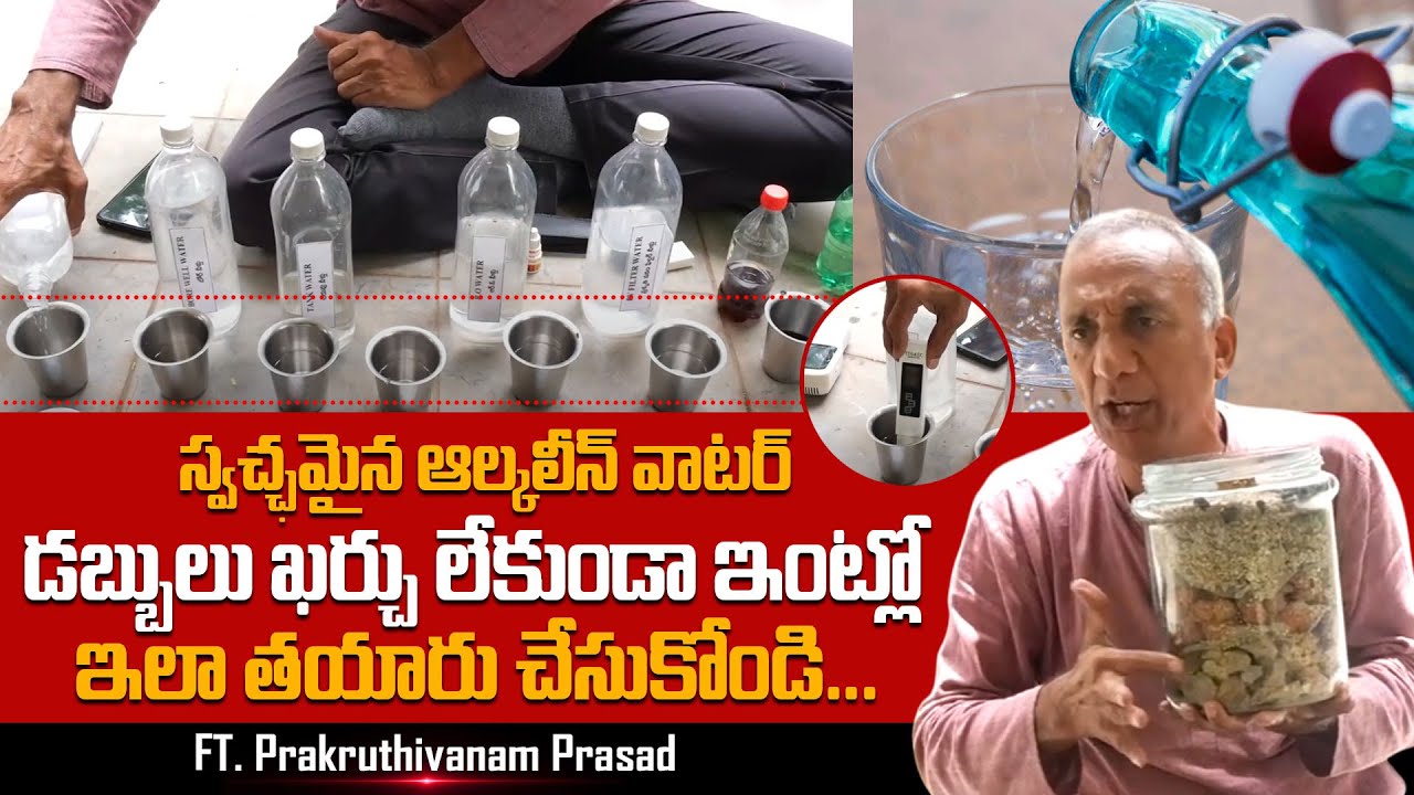 Community Life at the Farm