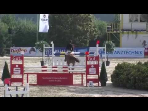 Stall Distel, Stute von Colman x Calypso II, geb. 2009