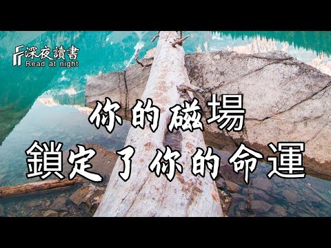 人的磁場是什麼