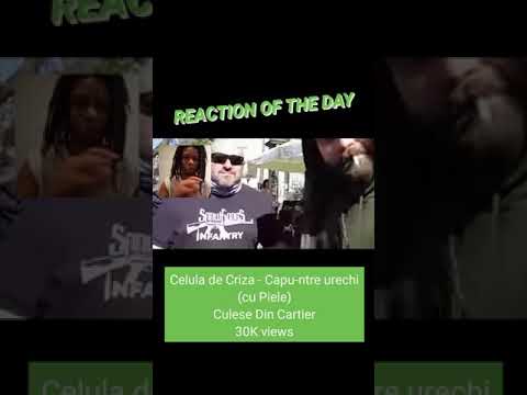 NEW ROMANIAN G-FUNK Reaction Teaser! (Coming Soon...) Celula de Criza
