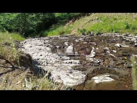 Natural River, Just...Sound of River, Romania, Tarna Mare