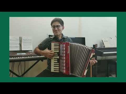 #آهنگ_ایرانی #با_تو_رفتم #ویگن #آکاردئون_نوازی #حمیدرضانعمت_الهی #accordionist #accordion