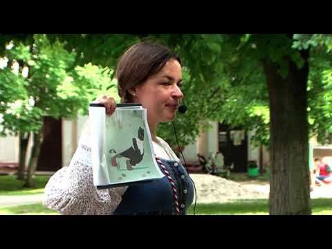 В Курске состоялся квест по мотивам мультфильмов Бориса Дёжкина