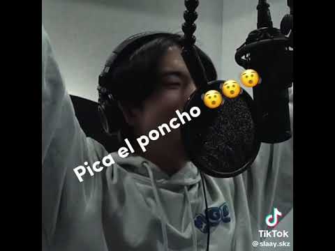 pica el poncho 🗣️🗣️🗣️🗣️