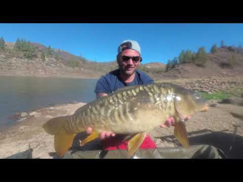 Ale Karp Fishing Team - Wyspy Kanaryjskie - Hiszpania - Gran Canaria - Chira X.2019