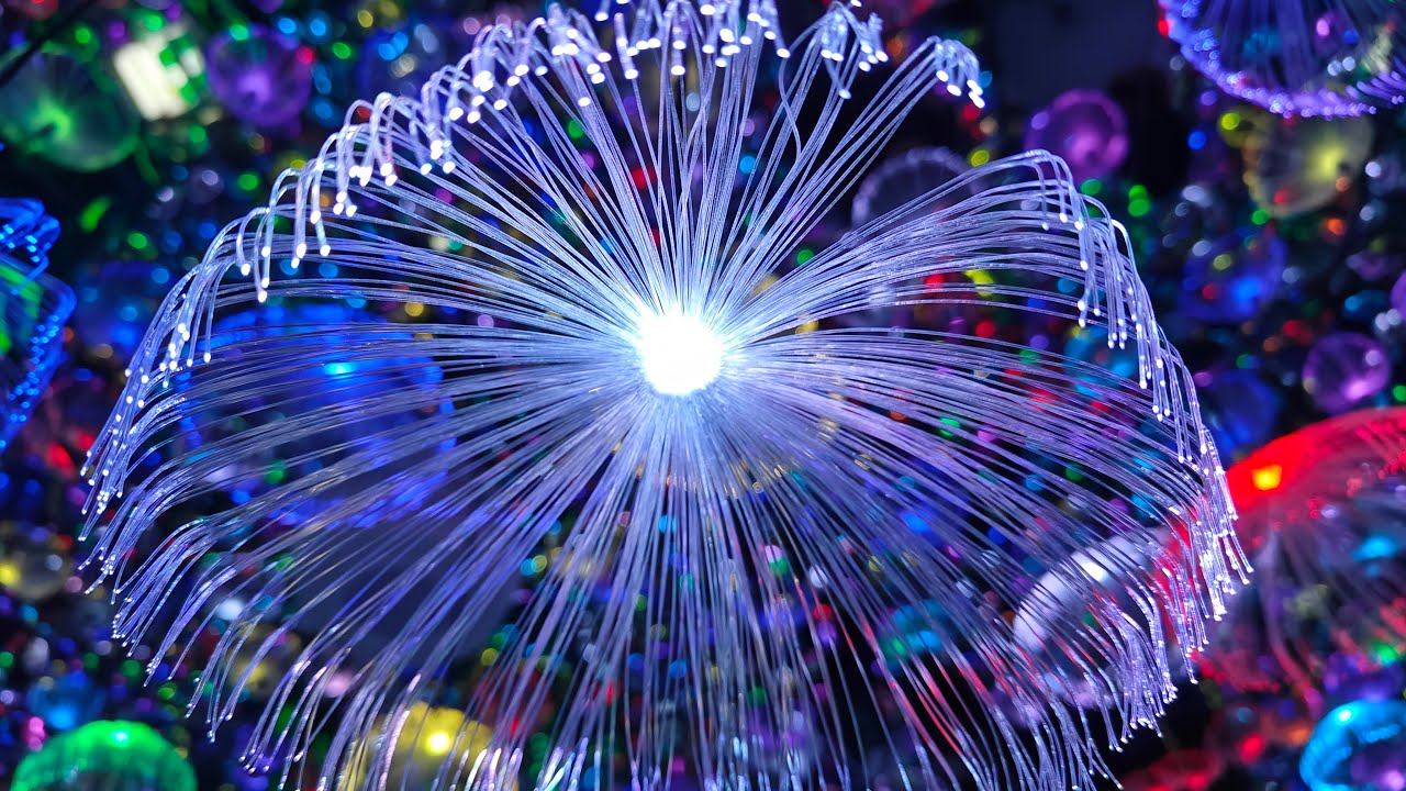 Take a sneak peek of immersive Metartworld.