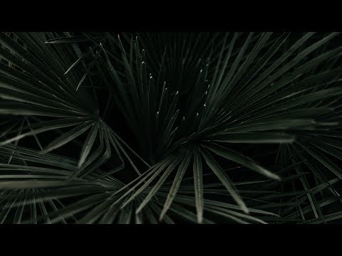 We Are Meant To Be - Dayon // 8D - wear headphones //