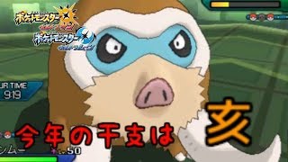 今年の干支を活躍させたい【ポケモンUSUM】