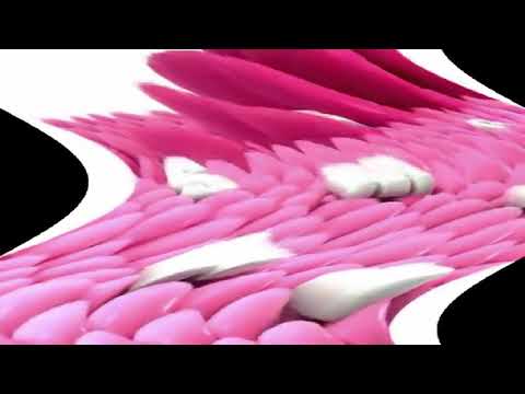 Samsung Logo Balls Feels Dizzy^2