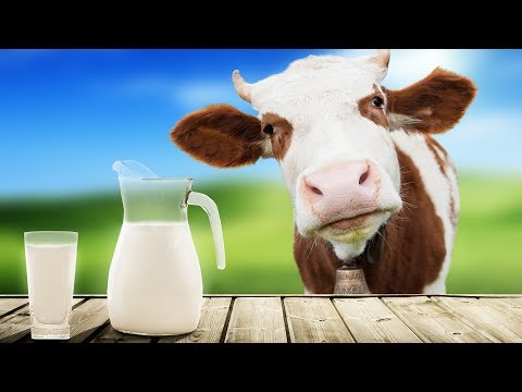 USE THE MILK Video