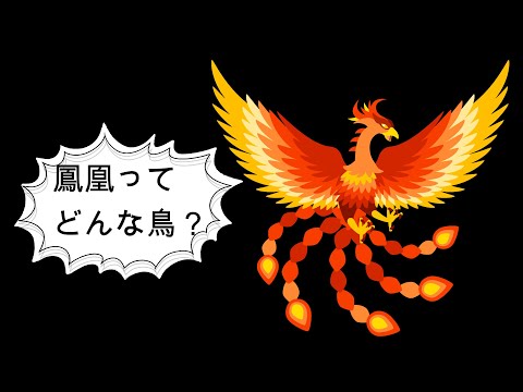 鳳凰の歴史と意味