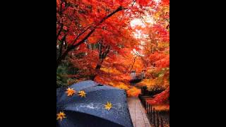 Here's That Rainy Day-Bill Evans